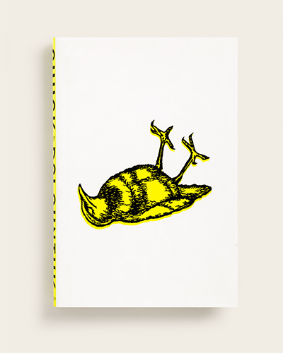 Book cover with drawing of dead yellow bird
