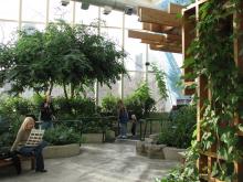 Visitors examining an indoor garden with trees and other plants.